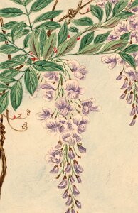 Painting vintage japanese