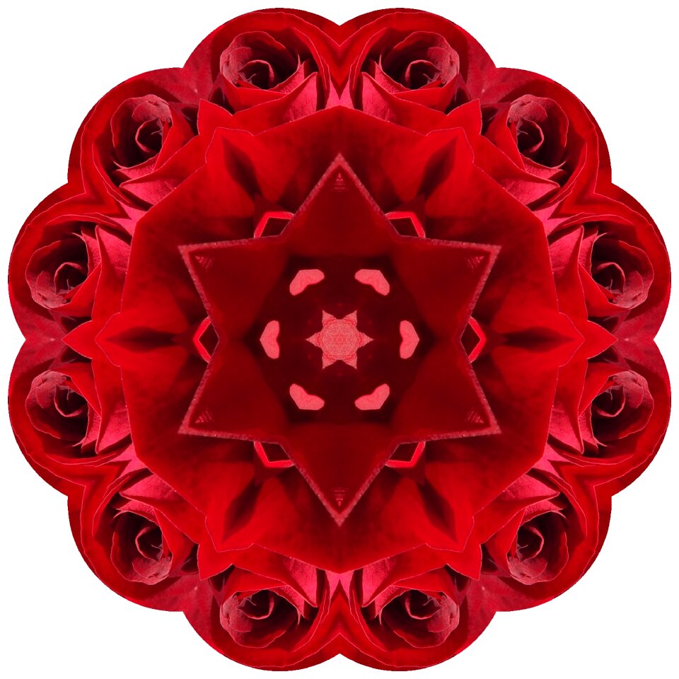 Ornament decor pattern