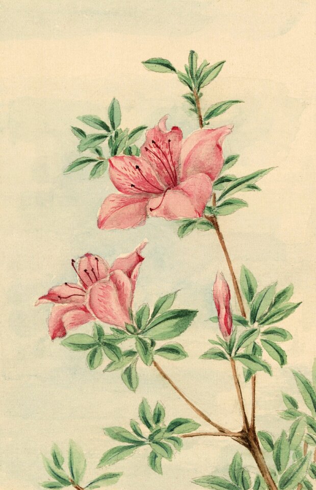 Painting print painted