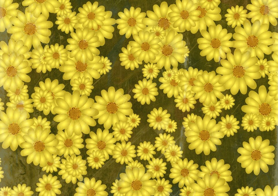 Nature botanical blooming