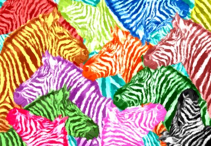 Collage animals farbenspiel