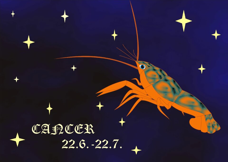 Sign of the zodiac zodiac Free illustrations