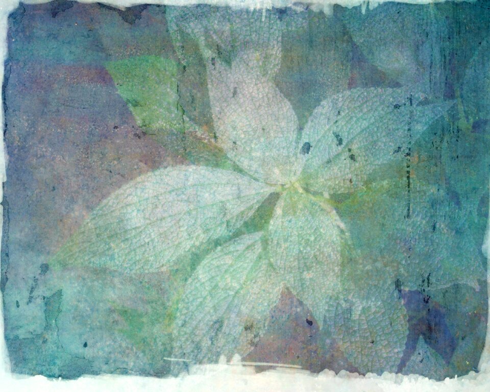 Nature foliage plant