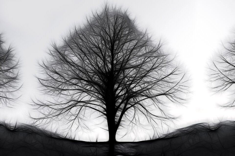 Abstract fractals lines