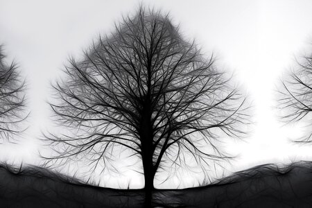 Abstract fractals lines