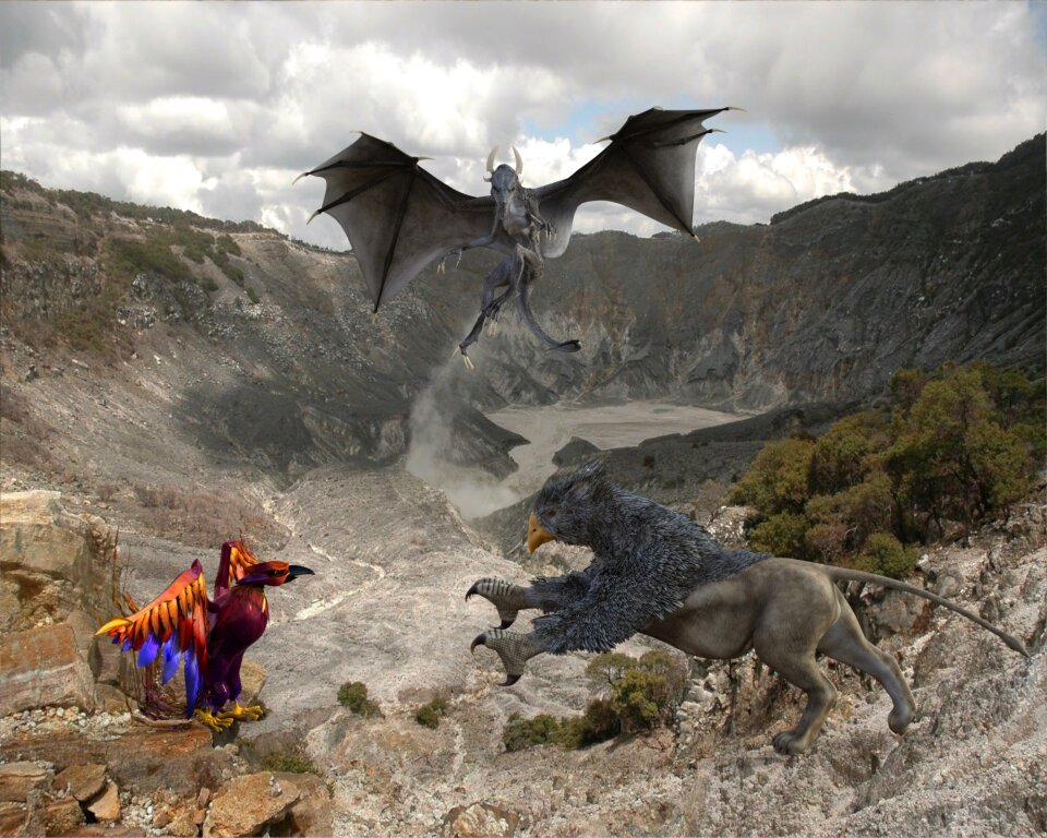Griffin phoenix fight