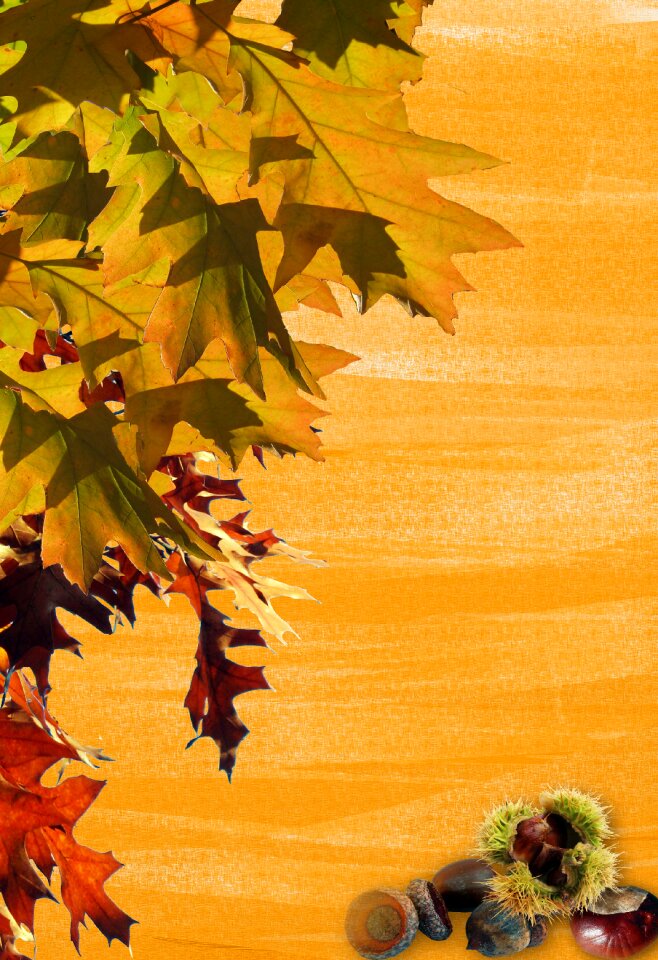 Background bulletin board emerge