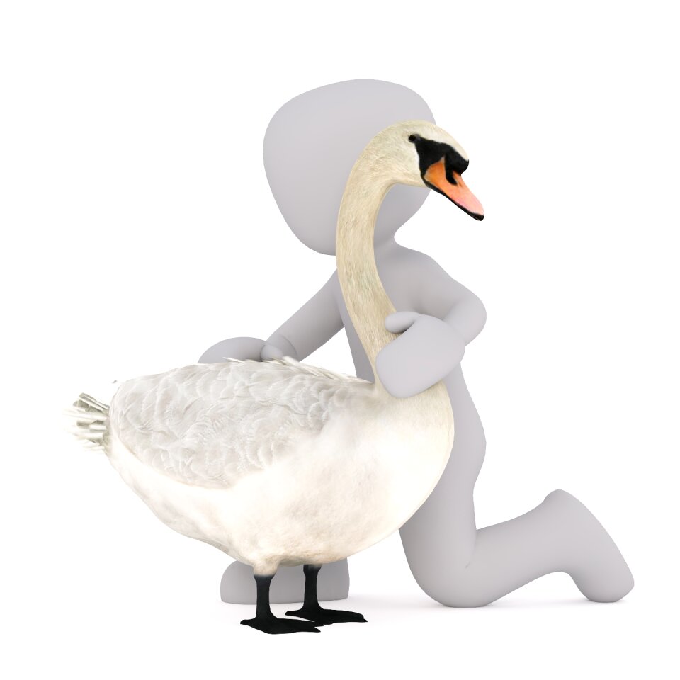 Isolated 3d model