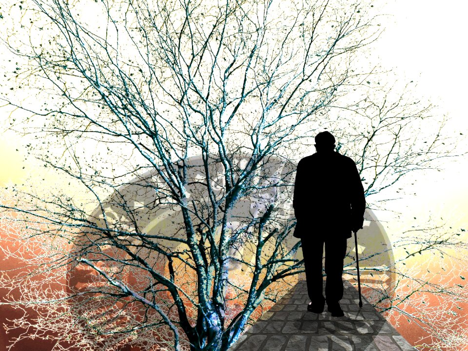 Time care dementia
