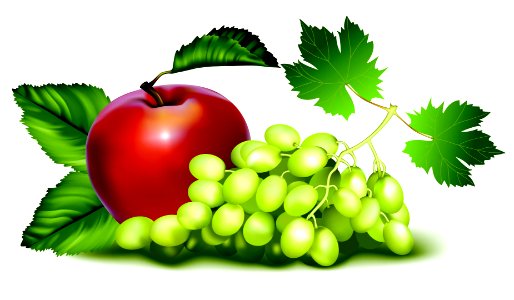 Grapes apple Free illustrations