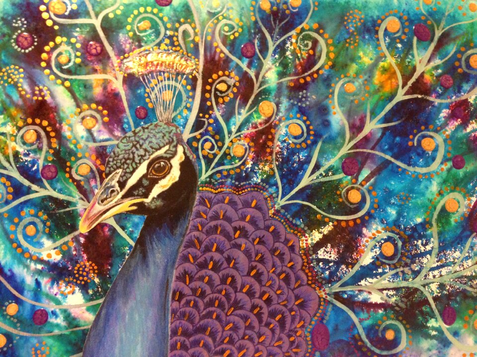 Bird animal Free illustrations