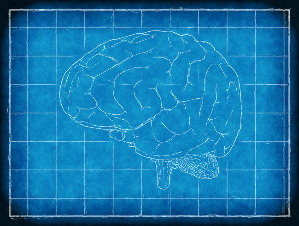 Analysis intelligence blue brain