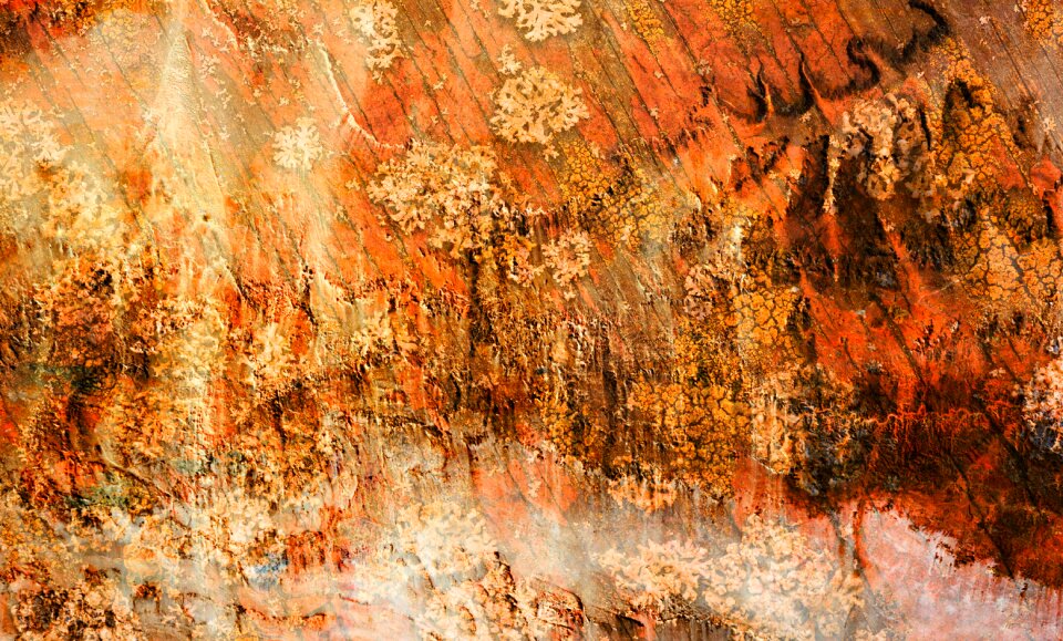 Earth tones orange earth orange abstract