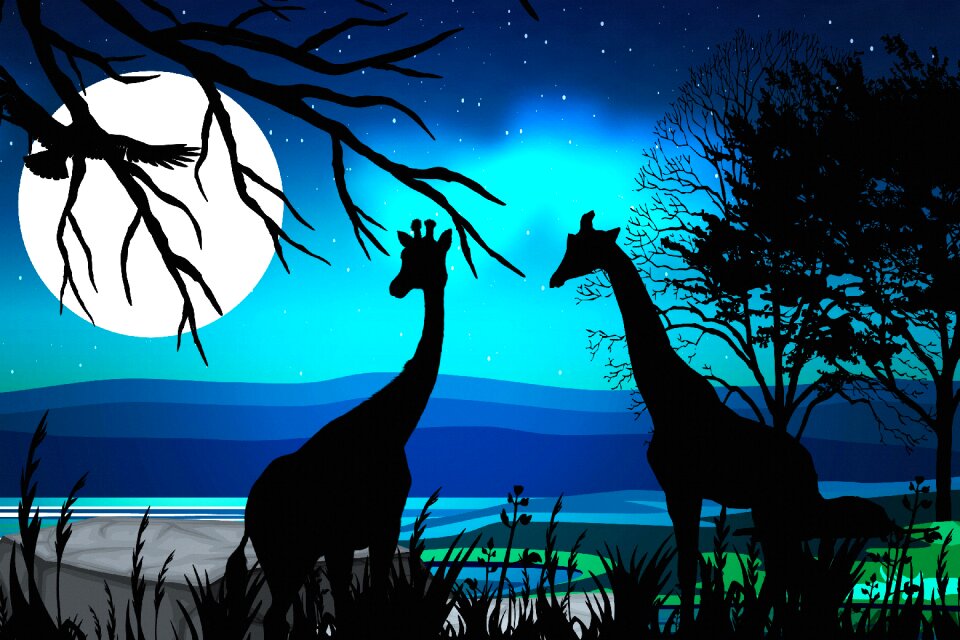 Nature africa zoo