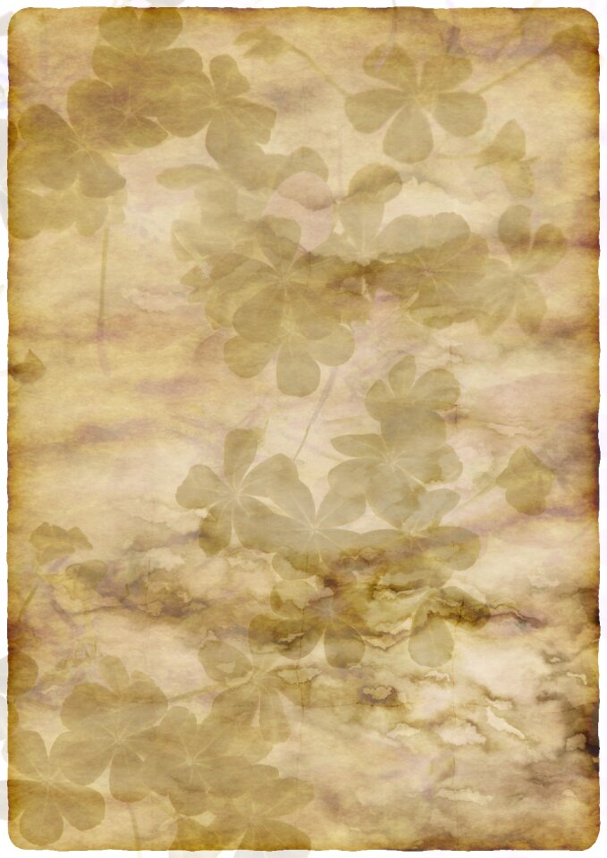 Flower pattern background