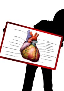 Investigation heartbeat pulse