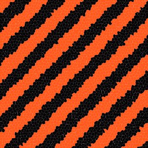 Black orange pattern