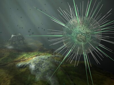Sun animal germs disease