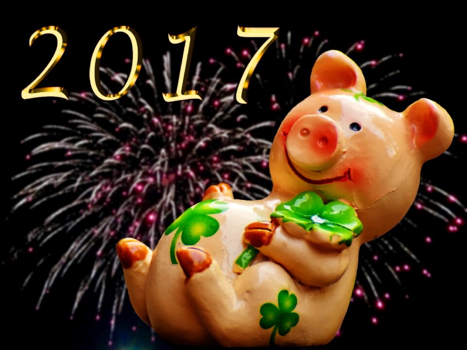 Cute lucky charm sow
