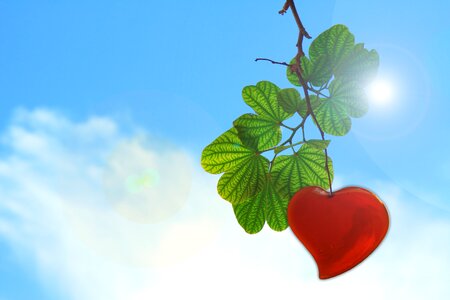 Heart love valentine's day