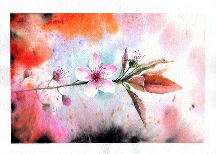 Watercolor flowers watercolor painting floral illustration