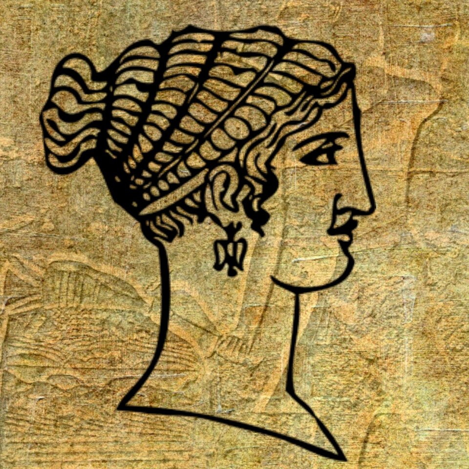 Hairstyle lady woman