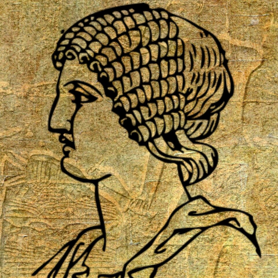Hairstyle lady woman