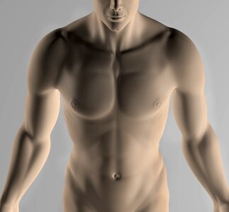Human portrait pose