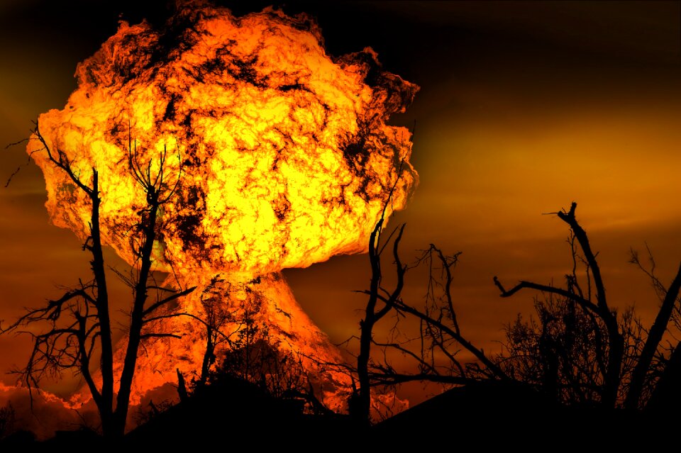 Nature forest fire trees