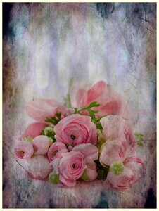 Arrangement flowers nature