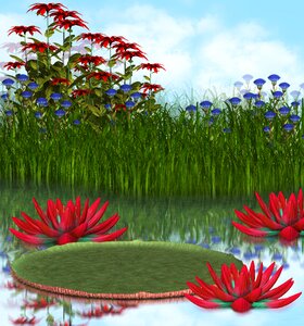 Lake landscape summer