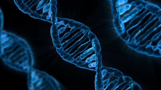 Gene microbiology science