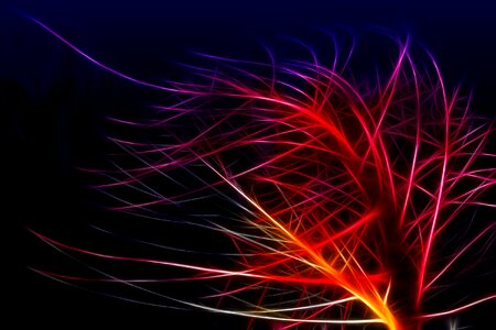 Light irrlichter lights