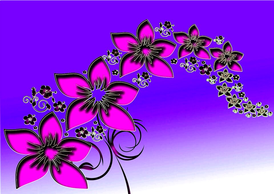 Background lilac background lilac beauty