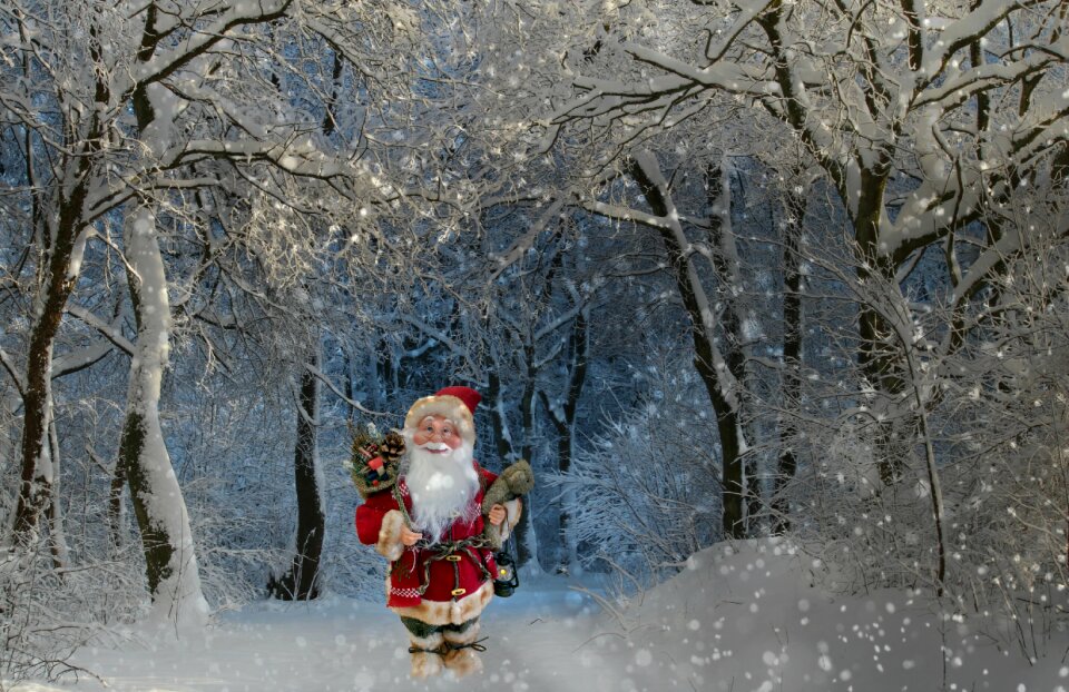 Winter snow snowfall