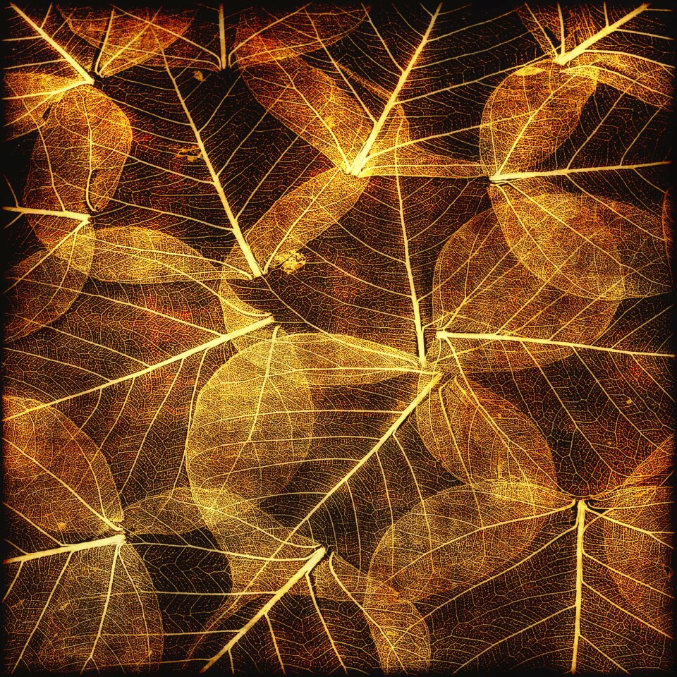 Texture brown Free illustrations