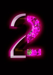 Design black pink