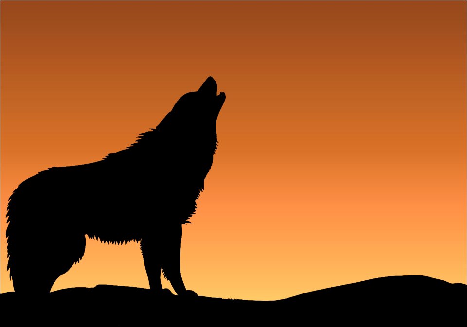 Sunrise silhouette black