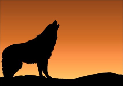 Sunrise silhouette black