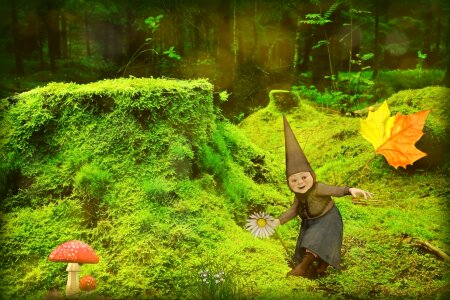 Fairy tale forest fairy tale world forest