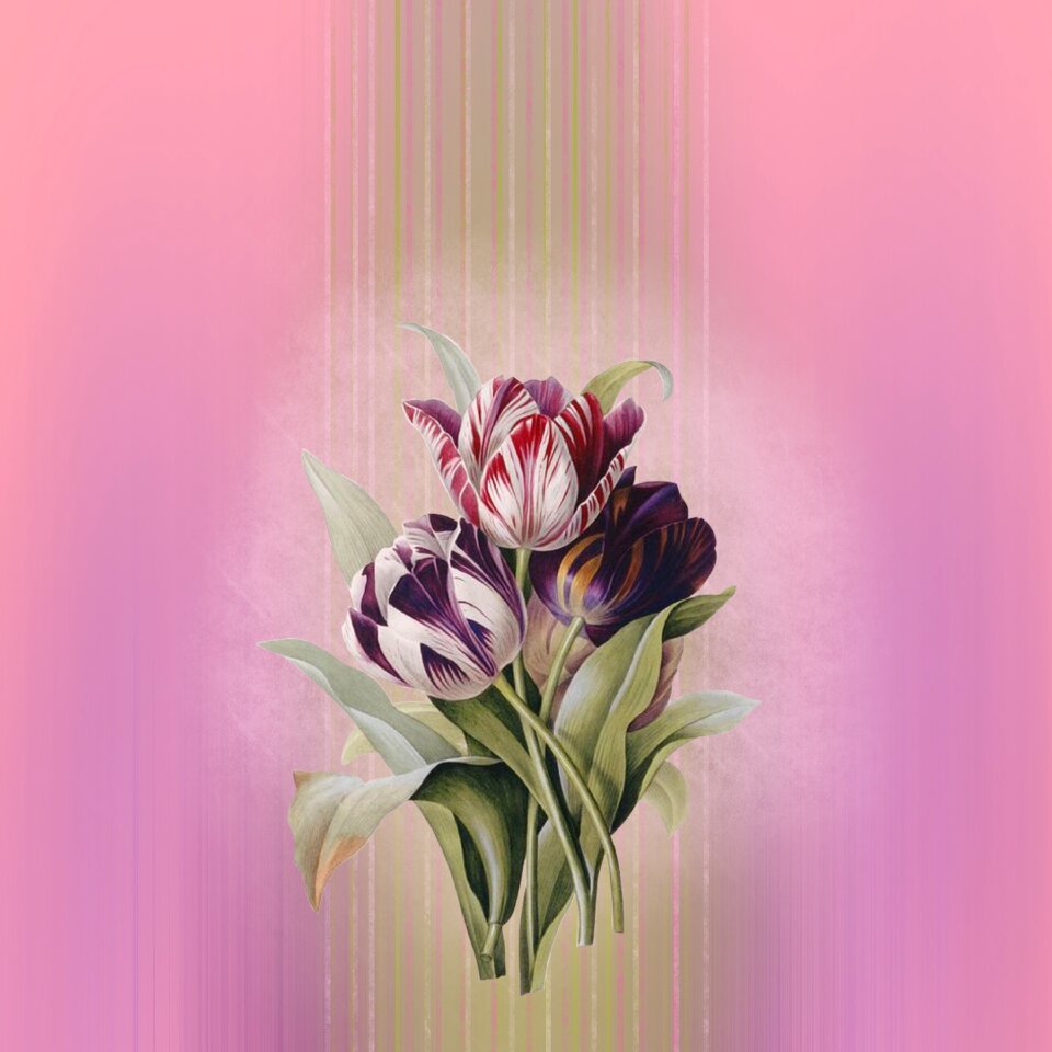 Flowers bouquet flower