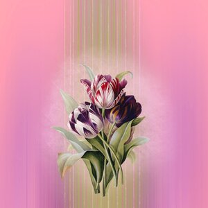 Flowers bouquet flower