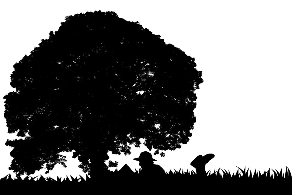 Tree girl female