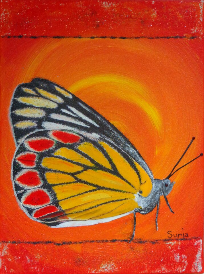 Colorful insect nature