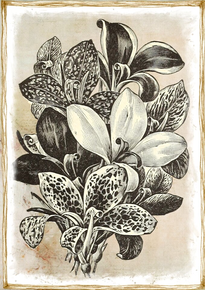 Country natural decoration