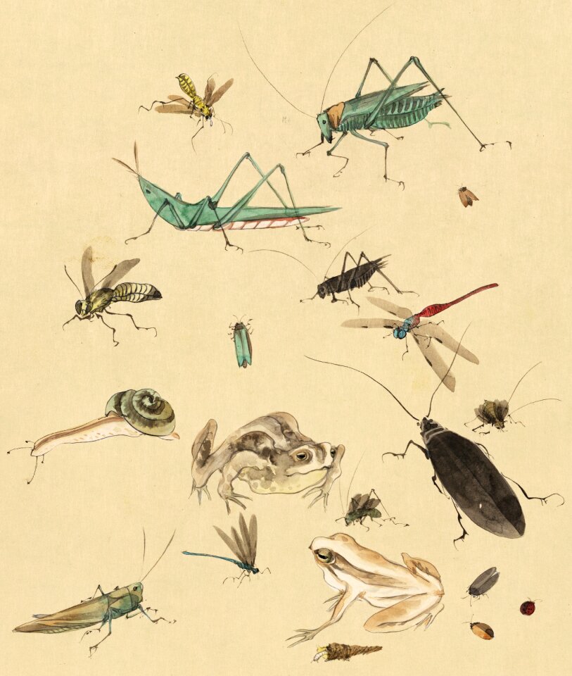 Japanese art watercolour