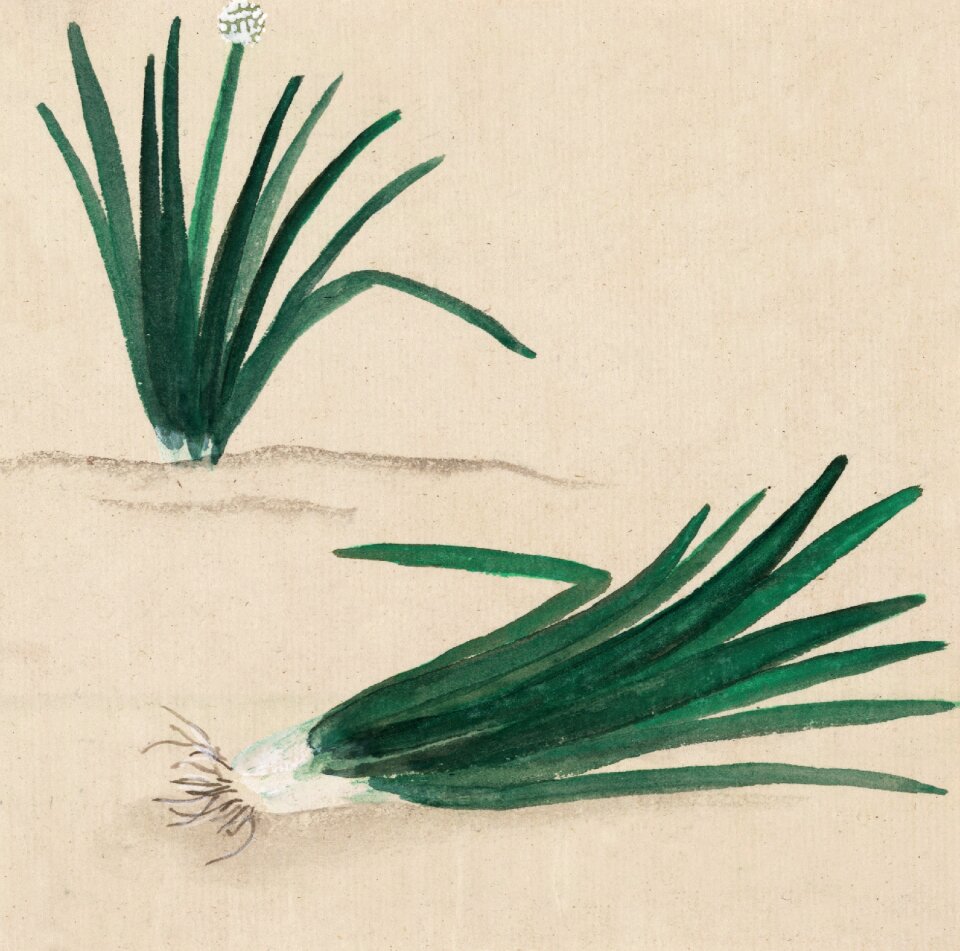 Painting vintage japanese