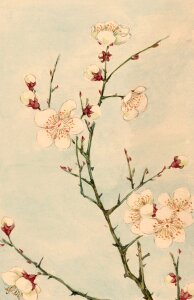 Painting vintage japanese