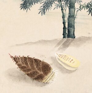 Painting vintage japanese