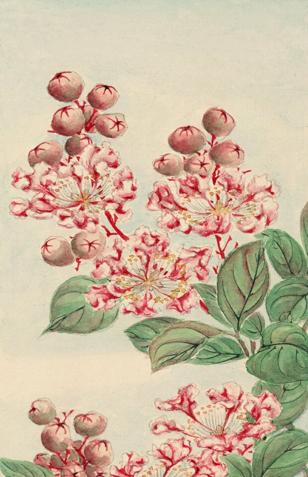 Painting print painted